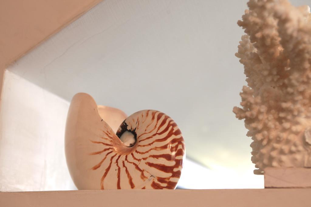 מלון ריצ'יונה Nautilus מראה חיצוני תמונה